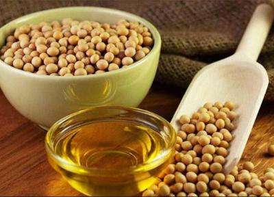 روغن سویا ممکن است بر مغز اثر بگذارد