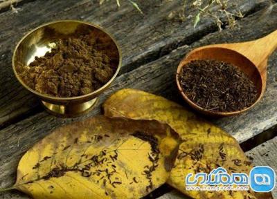 گیاهی که قدرت بالایی در مبارزه با نفخ دارد