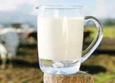 مزایای پروتئین شیر چیست؟