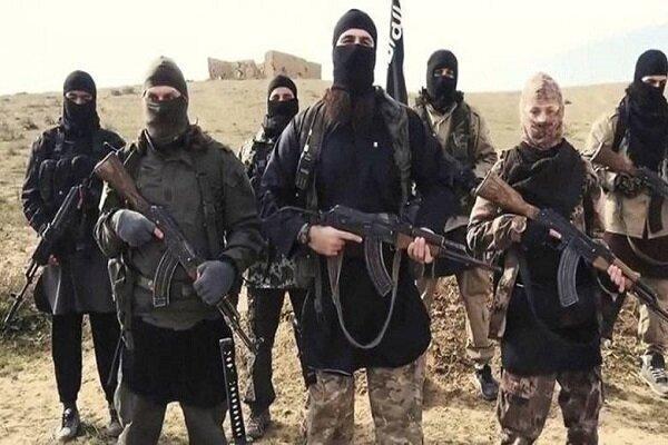 هشدار درباره تحرکات داعشی ها در غرب عراق هشدار درباره تحرکات داعشی ها در غرب عراق