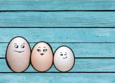 آنالیز اثر تخم مرغ بر سلامت