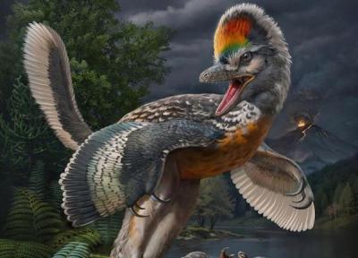 عکس، در فسیل پوست دایناسور پردار چه رازی نهفته است؟