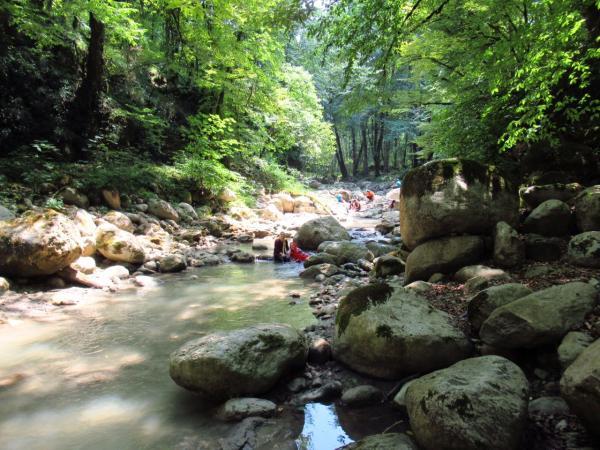 تنگ روخانچال نوشهر ، مازندران Mazandaran