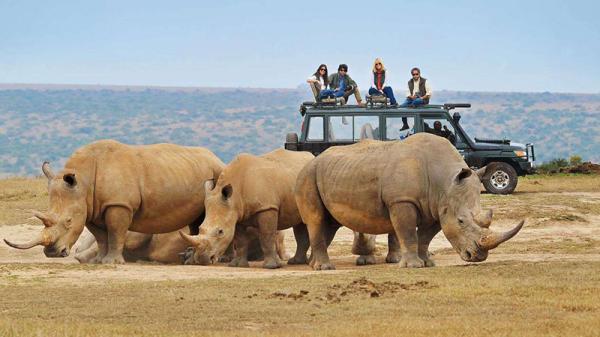 سافاری چیست؟ برترین مقاصد سافاری داخلی و خارجی کدامند؟