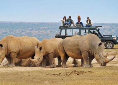 سافاری چیست؟ برترین مقاصد سافاری داخلی و خارجی کدامند؟